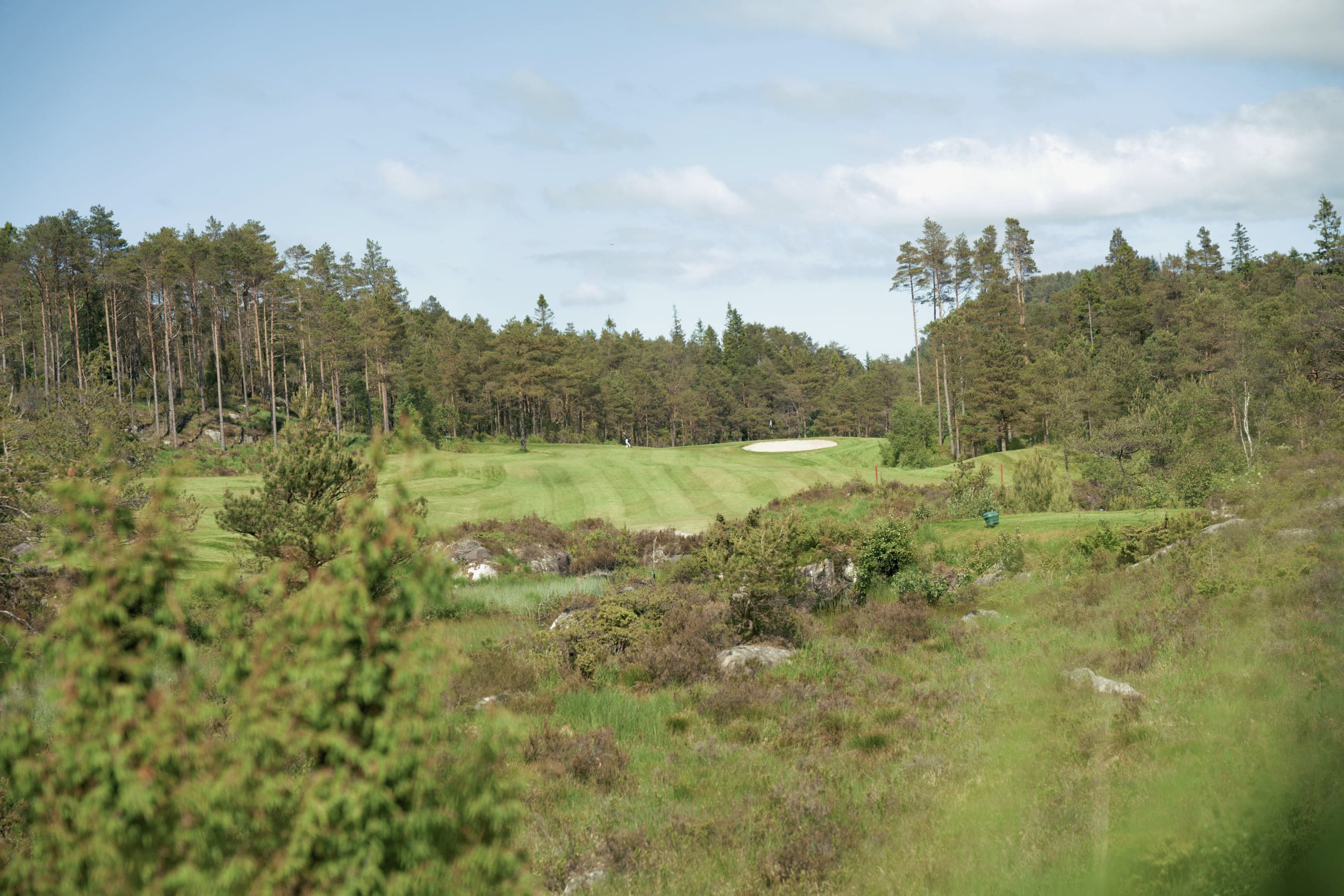 Lynghei og furuskog rundt fairwayen på Haugaland Golfbane Sveio